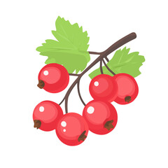 Red Currant Icon | Bold & Sleek Flat Design.
