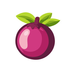 Wild Mangosteen Icon – Vector Illustration of the Exotic Fruit
