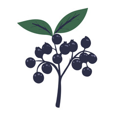 Elderberry Icon – Simple and Clean Design, Healthy Elderberry Symbol, Fresh Fruit Vector Illustration, Organic Elderberry Design, Natural and Vibrant Graphic, Elderberry Digital Art, Flat Design Icon,