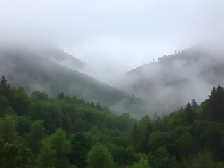Foggy Mountain Landscape - Misty Forest with Green Trees and Overcast Sky, Nature Scene.