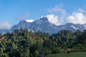Fototapeta premium Mountain range with lush green slopes. Winter on Madeira. 