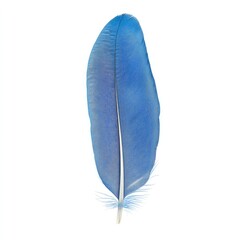 Close-up of a white feathered quill pen with soft black and blue plumage isolated on a light background