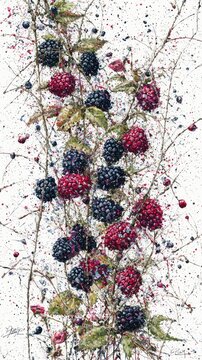 Blackberry Vine Berries ripen on branches against speckled white. Botanical Art