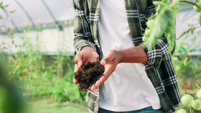Agriculture, dirt and sustainability with hands of farmer outdoor in countryside for inspection. Earth, environment and soil with person testing ground for organic crop planting in farming industry