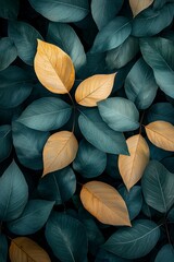 Close-up of leaves with dark green and yellow tones