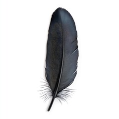 Raven's Quill: A striking, dark quill of a raven rests against a neutral backdrop, its sleek texture and elegant form standing out with stark simplicity.