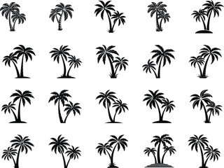 Palm Tree Silhouette Illustration