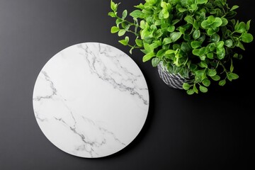 Round marble cutting board with potted plant on black background