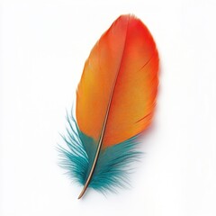 Feather of vibrant hues: A single, exquisitely detailed feather showcases a striking spectrum of colors, offering a visual symphony of texture and beauty.