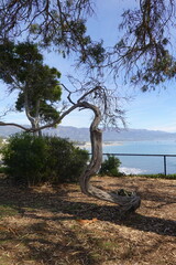 Santa Barbara, CA - Gorgeous Harbor Views