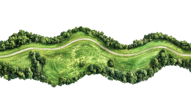 Tranquil, straight rural road, bordered by lush green fields and trees, cut out. Isolated on a transparent background.