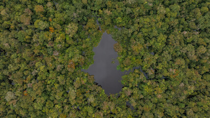AERIAL IMAGES OF FLOODED FORESTS ON THE NANAY RIVER, A BLACKWATER RIVER OR IGAPO, AMAZON NEAR THE...