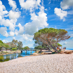 Obraz premium Exciting view of Maritime pine trees and Osala Beach in national park Stagno Longu.