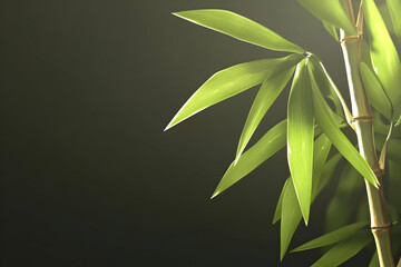 Serene Bamboo Leaves Illustration