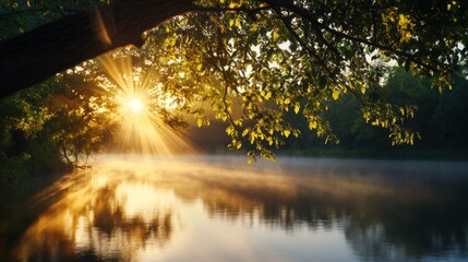 A misty riverbank at dawn, with soft golden light filtering through the trees