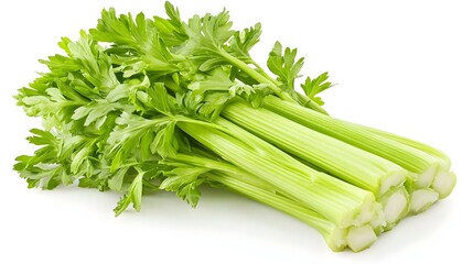 Celery isolated on white background