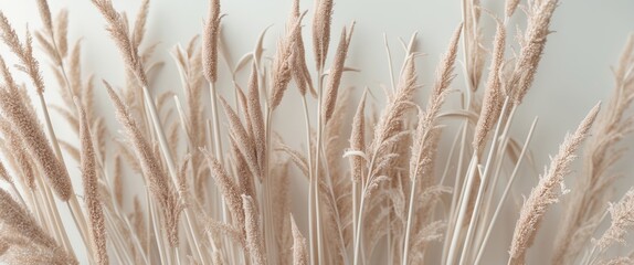 Reeds pattern in a neutral beige color against a white background. Minimal trend. Poster.