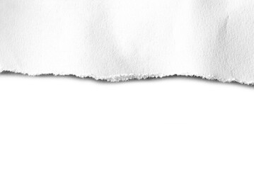 torn tear paper isolated on white background
