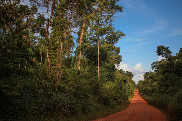 Ruta 101 en Misiones Argentina