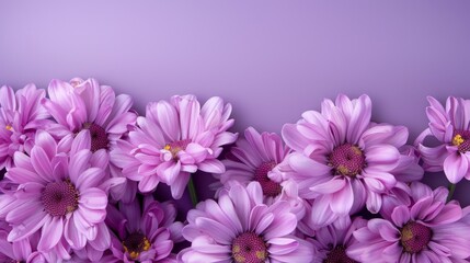 Obraz premium Close-up of a vibrant purple flower on a soft, blurred background. macro texture background.