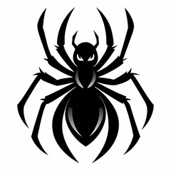 spider on a white background