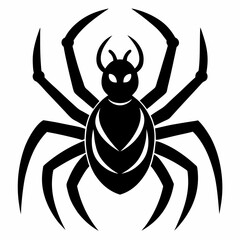spider isolated on white background