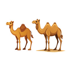 a flat illustration of a camel