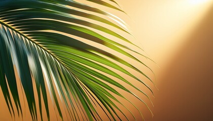 close up of a green palm leaf with sunlight and shadow on a warm toned background ideal for tropical botanical and nature inspired design projects