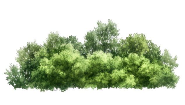 a lush green collection of trees and foliage creating a vibrant and natural landscape element suitable for design or illustrative purposes