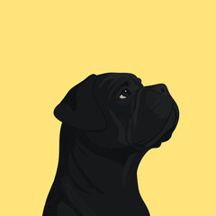 Close-up profile of a black dog against a yellow background, showcasing its expressive eyes and sleek fur in a vector style