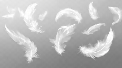 Obraz premium Soft white feathers in motion on clear transparent background. Floating Lights. Illustration