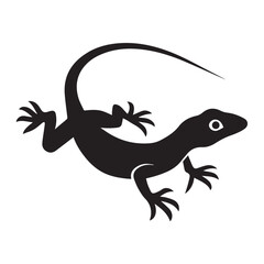 lizard isolated on white