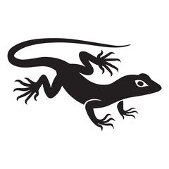 black and white lizard