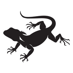 silhouette of a lizard