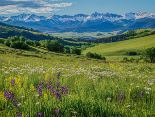 Fototapeta premium Serene Mountain Meadow