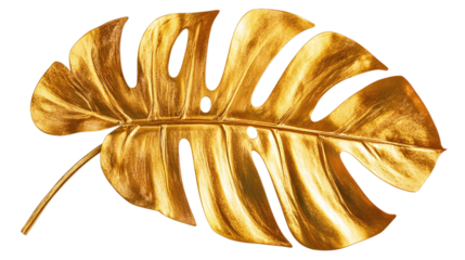 Golden tropical monstera leaf cut out. Isolated on a transparent background.