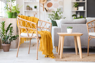 Interior of modern living room with armchair, grey sofa and houseplants