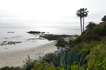 Laguna Beach, CA - Gorgeous Beach Views