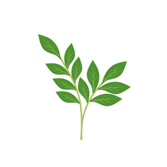 Obraz premium Illustration of a branching green leaf 