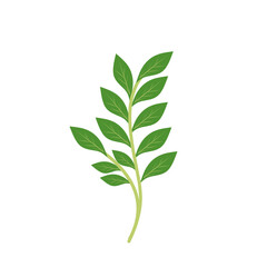 Obraz premium Illustration of a branching green leaf 