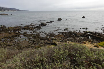 Laguna Beach, CA - Gorgeous Beach Views