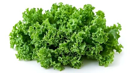 Obraz premium Fresh green curly kale salad leaf isolated