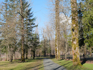 Island 22 Regional Park during a winter season in Chilliwack, British Columbia, Canada