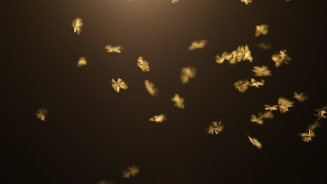 Insects fly in the night looking for light