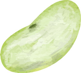 Watercolor Illustration of Flageolet Beans