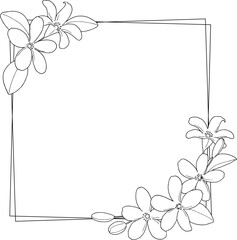 ジャスミンの線画のフレーム