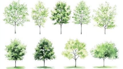 A vibrant collection of watercolor trees in various styles