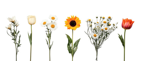 Png of A vibrant display of assorted flowers including daisies, tulips, and sunflowers in vivid colors on transparent background.