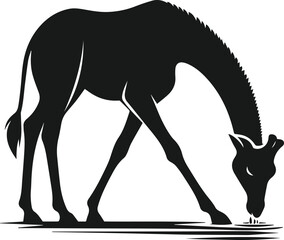 vector illustration of a giraffe drinking water silhouette