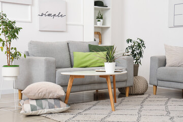 Grey sofa, houseplants, pictures and coffee table in modern living room